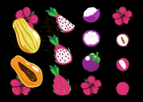 Set of exotic fruits, hand-painted lychee, mangosteen, papaya and pitaya in a flat style. Whole fruit, halves and small pieces. Bright hibiscus flower. Exotic on a black background vector