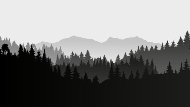 Silhouette landscape with fog, forest, pine trees, mountains. Illustration of national park view, mist. Black and white. Good for wallpaper, background, banner, cover, poster. vector