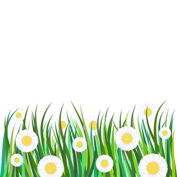 Daisy Flower Meadow Border Decor vector