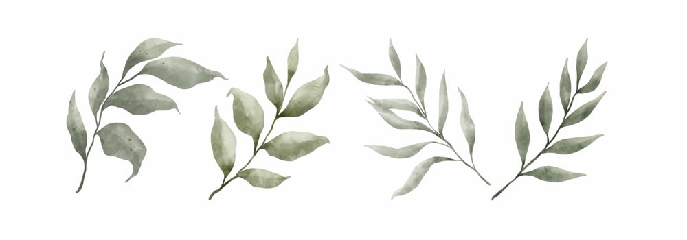 Greenery Leaves Watercolor Hand Drawn. Set of green leaf in watercolor style isolated on white background. Decorative beauty elegant illustration collection for design vector
