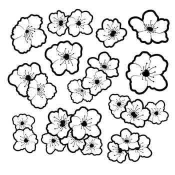 Monochrome Sakura Line for decoration crafts project, card, background and any design. Vector illustration about botanical nature.