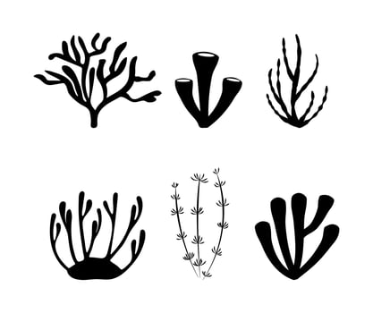 Black silhouettes of sea corals and algae vector set