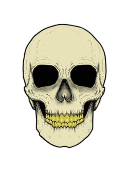 Skull illustration high detail, eps file. suit for apparel and poster vector