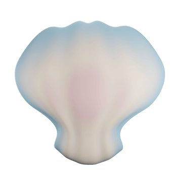 3d shell illustration with transparent background png