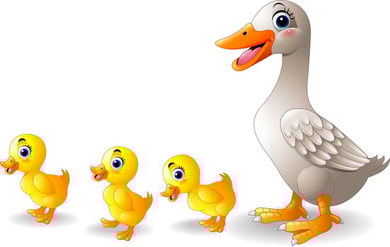 Cartoon duck family cartoon vector