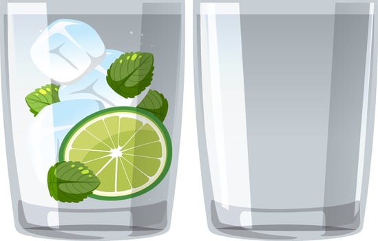 Mojito cocktail in the glass vector