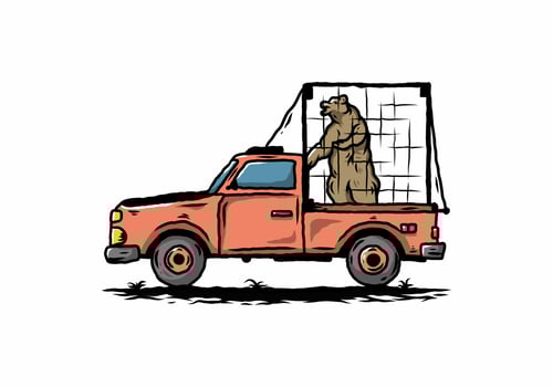 Big bear in cage on car illustration vector