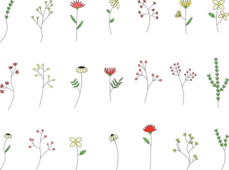 summer flowers Set. Black and white doodle illustration isolated on white background. Set Doodles of plants and flowers Illustration vector
