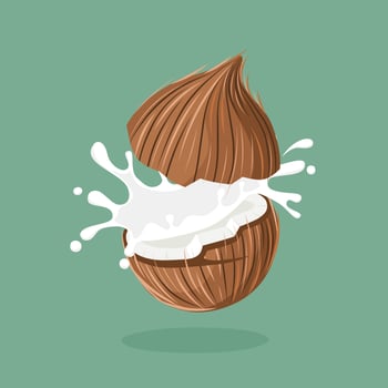 Vector illustration, coconut milk splash, element design for packaging, advertisement.