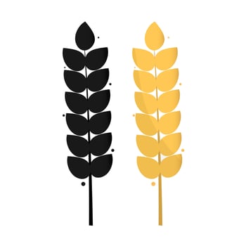Ears of Wheat plant spikelets, Barley or Rye vector visual graphic icons, ideal for bread packaging, beer labels etc. Flat Vector illustration isolated on white background.