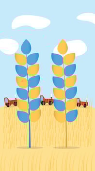 Blue and yellow Ukaine Ears of Wheat plant spikelets icon set on nature background with tractors. vector illustration.