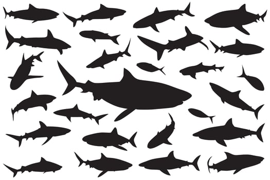 shark silhouette, Set of sharks. collection of silhouettes of predatory swimming marine fish vector