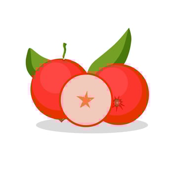 Plum brick fruit illustration image. Plum brick fruit icon, fruits vector