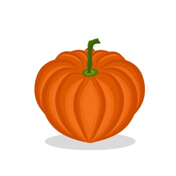 Pumpkin fruit illustration image.Pumpkin fruit icon, fruit vector