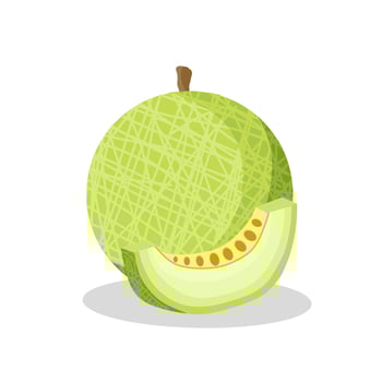 Melon fruit illustration image. Melon fruit icon, fruits vector