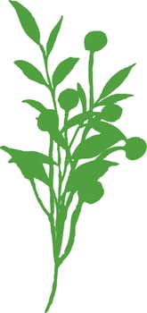 Silhouette of green branches. vector