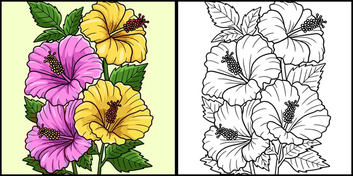 Hibiscus Flower Coloring Page Colored Illustration vector