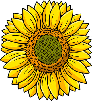 Sunflower Flower Cartoon Colored Clipart vector
