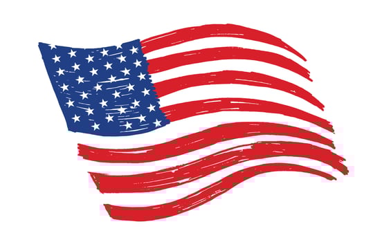 American flag with brush paint textured vector