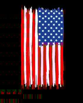American flag with brush paint textured vector