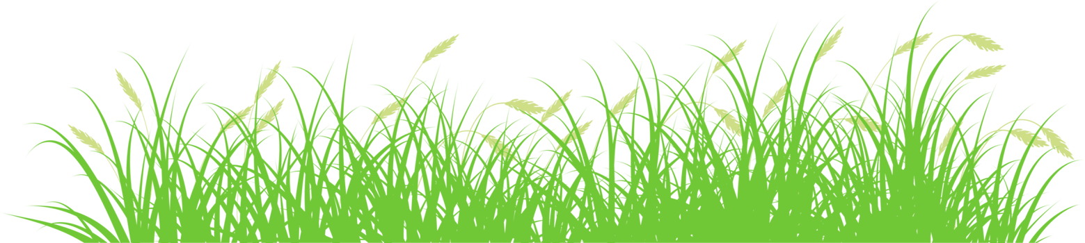 green reeds png