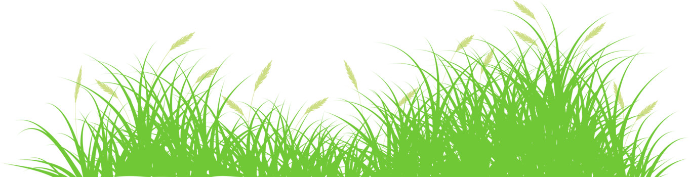 green reeds png