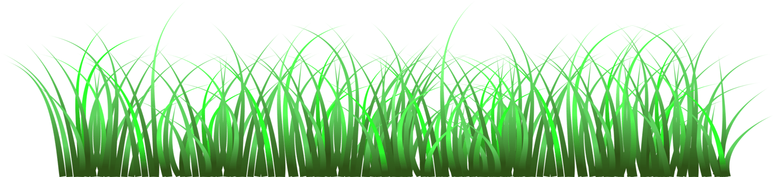 grass, green grass png