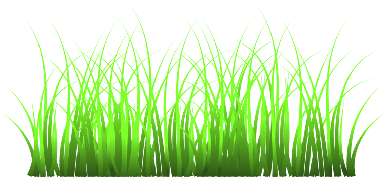 grass, green grass png