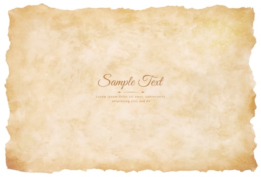 Vector old parchment paper sheet vintage aged or texture isolated on white background
