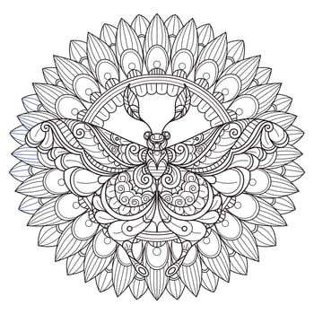 Butterfly and sunflower hand drawn for adult coloring book vector