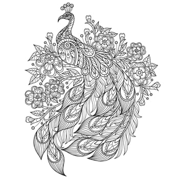 Peacock and flower hand drawn for adult coloring book vector