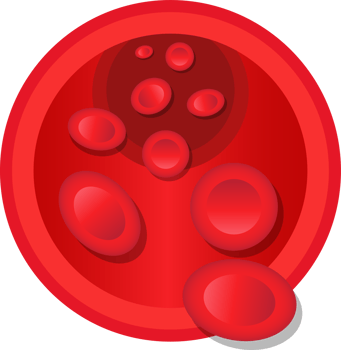 Blood vessel clipart design illustration png