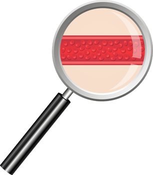 Blood vessel clipart design illustration png