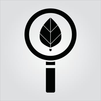 Isolated Magnifying Glass EPS 10 Free Vector Graphic