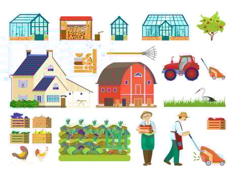 Big vector farm set. Country side set. Gardeners, farm house, barn, tractor, greenhouses, firewood, woodpile, lawnmower, chickens, vegetable bed, apple tree, wooden boxes with vegetables