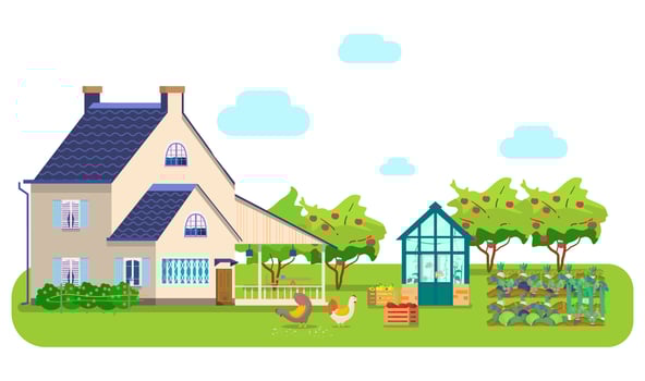 Vector illustration of countryside scene. Country house, greenhouse, chikens pecking grain, wooden boxes with vegetables, vegetable beds, apple orchard.