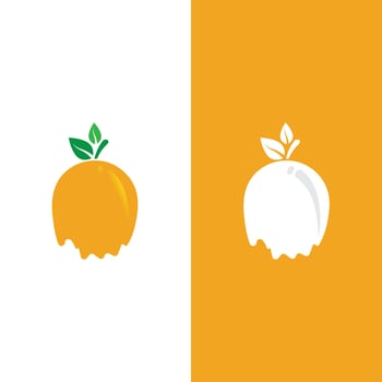 Orange logo design vector