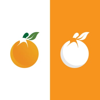 Orange logo design vector