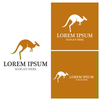 kangaroo vector illustration