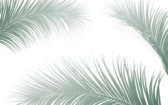 Palm leaf botanical frame vector