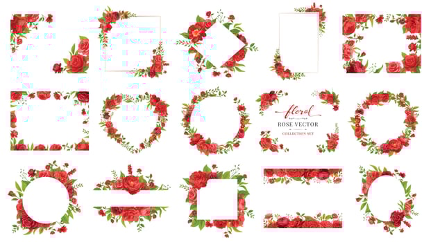 Collection set Beautiful Rose Flower and botanical leaf digital painted illustration for love wedding valentines day or arrangement invitation design greeting card vector