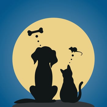 Dog and cat sit on the background of the moon and night sky vector