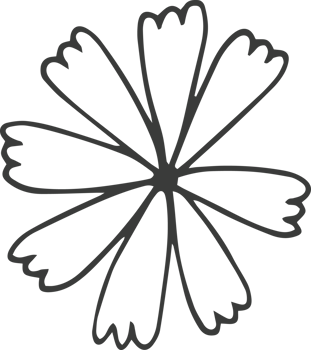 Hand drawn flower clipart design illustration png