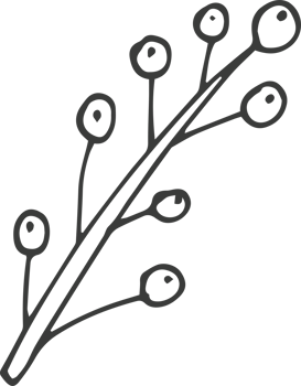 Hand drawn flower clipart design illustration png
