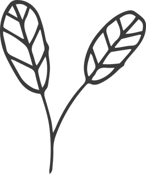 Hand drawn flower clipart design illustration png