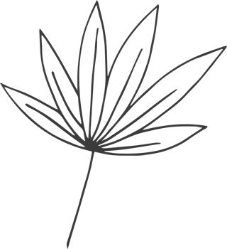 Hand drawn flower clipart design illustration png