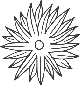 Hand drawn flower clipart design illustration png
