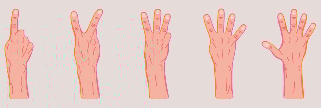 Vector set of different hand gestures.