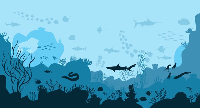 silhouette of coral reef with fish on blue sea background underwater vector illustration