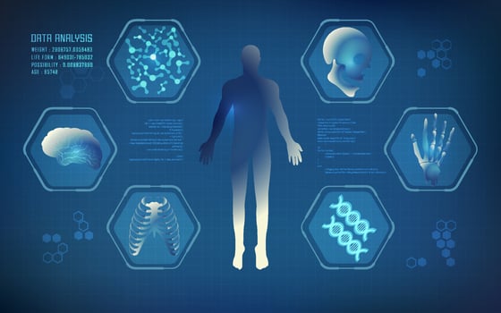 human body analysis vector